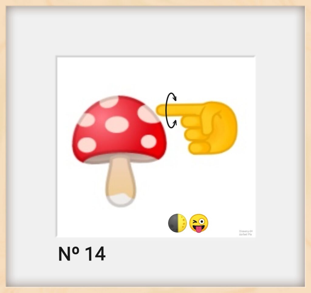 Il·lustració Nº14