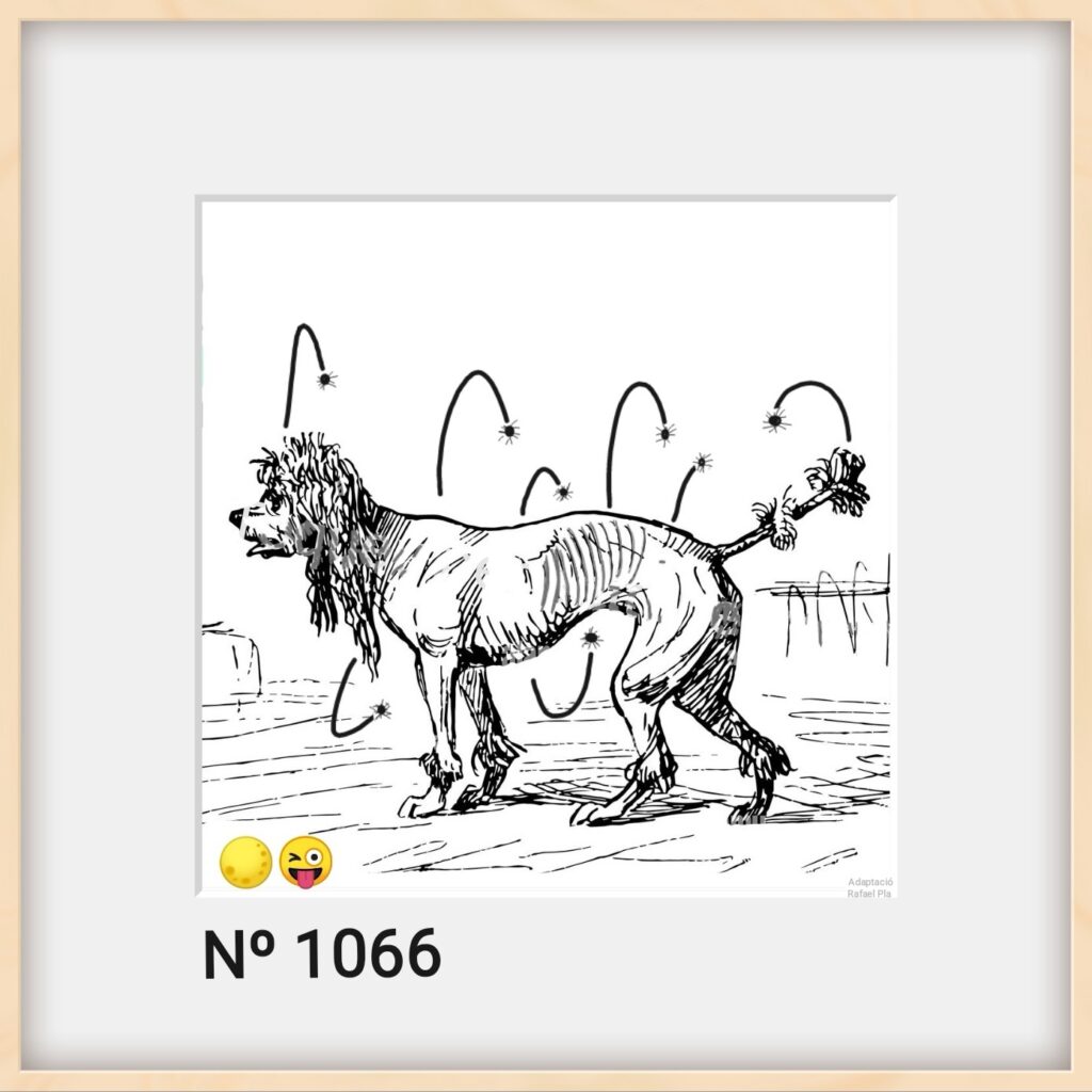 Il·lustració Nº1066